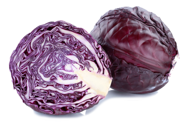 KITAs - Rotkohl 2 Rotkohl 2 - KITAs Essen auf Rädern