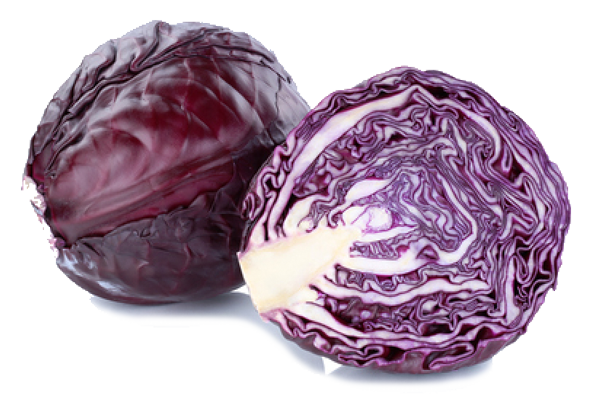 Start - Rotkohl Rotkohl - Start Essen auf Rädern